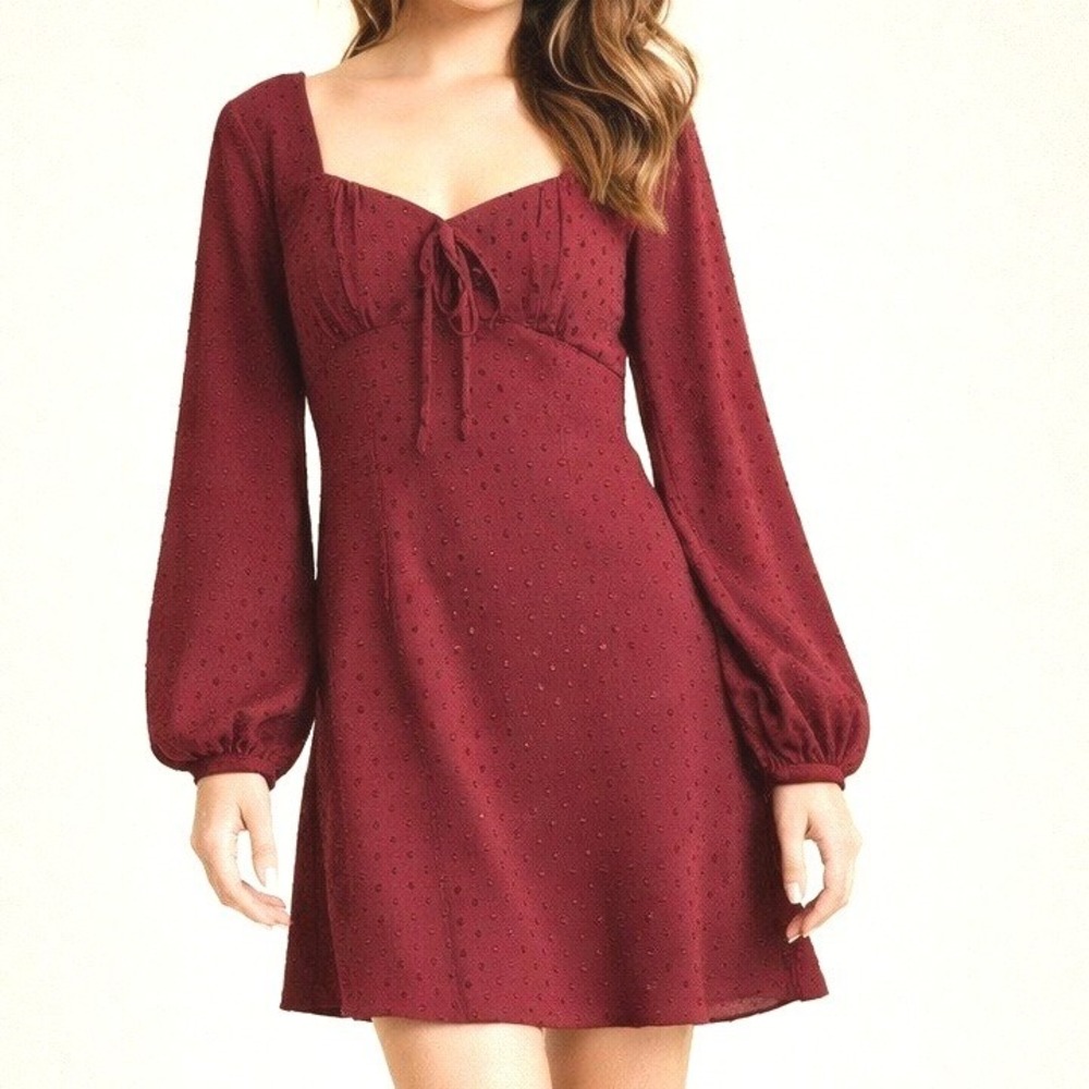 MIlkmaid Altar'd State Romantic Cottagecore Burgundy Mini Dress Swiss Dot S
